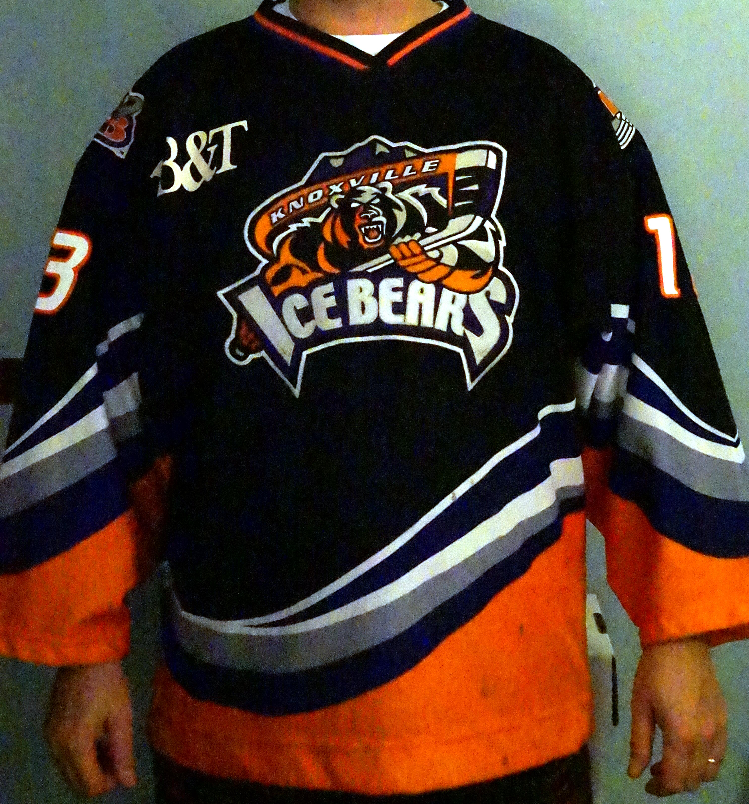 Knoxville Ice Bears, Professional Hockey